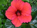 IMGP1822.JPG