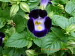 IMGP2357.JPG
